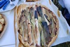  photos repas_2024(22)