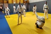  photos stage_inter_discipline_12_11_2024(11)
