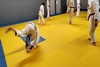  photos stage_inter_discipline_12_11_2024(8)